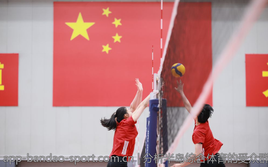 分析半岛综合体育的受众群体及特征
